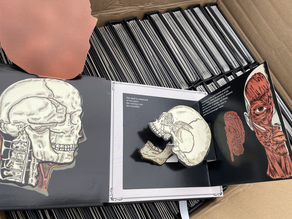 an open book spread sitting on a box of books. it depicts the human skull, jaw, and muscles of the face